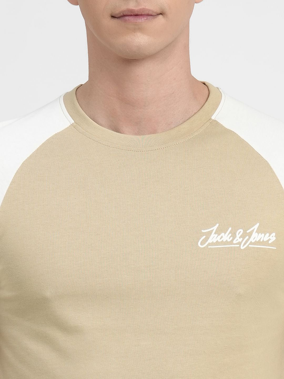 Beige Colourblocked Crew Neck T-shirt