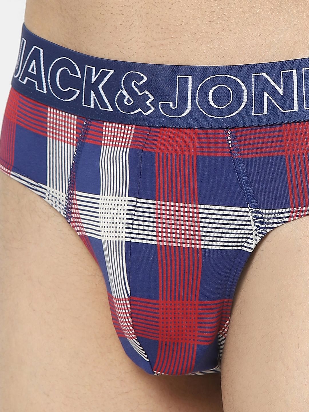 Blue & Red Checks Briefs