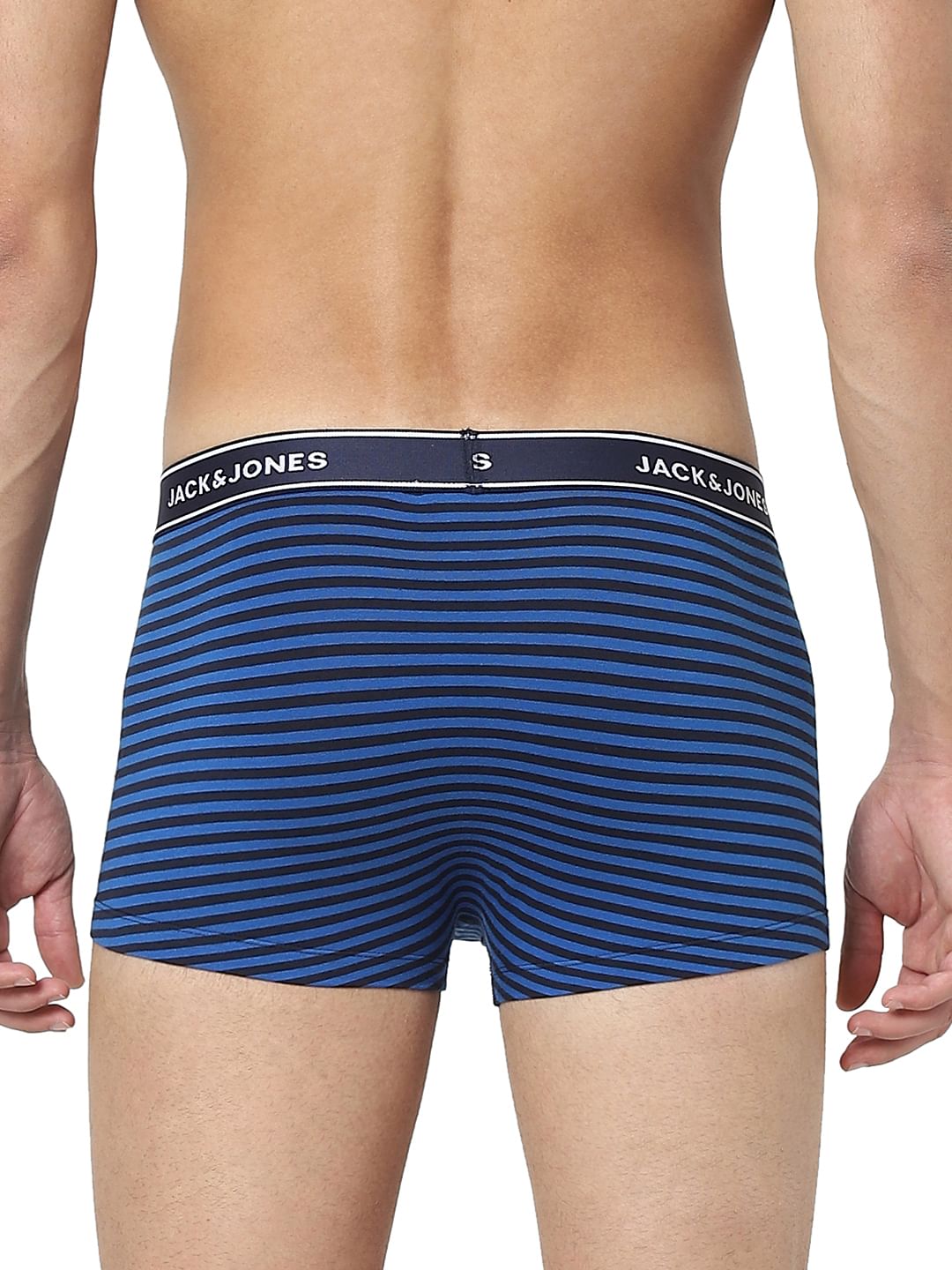 Pack Of 2 Blue Printed Trunks