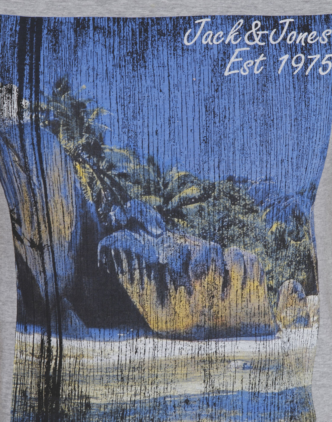 Casual Printed T-Shirt