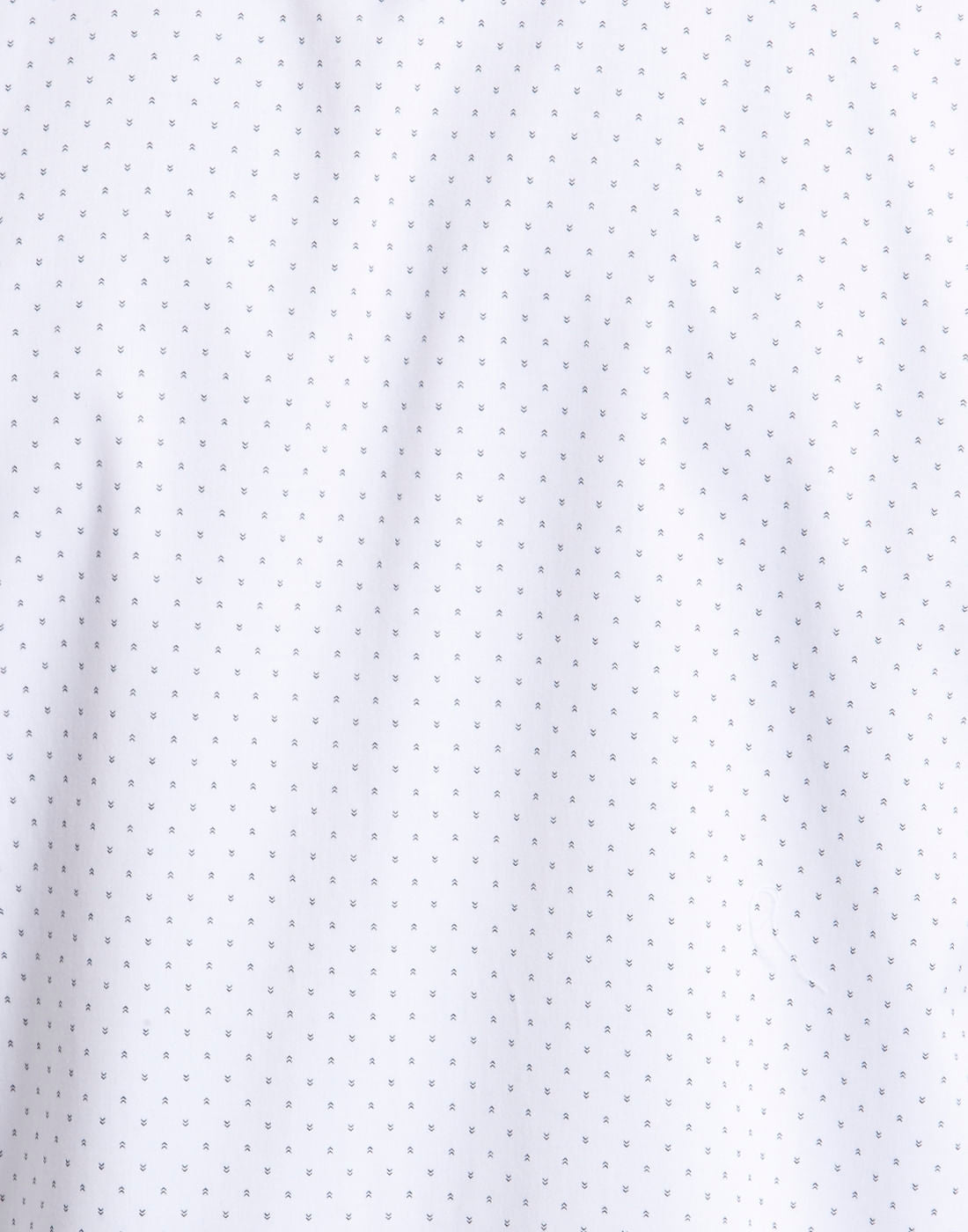 Printed Shirt