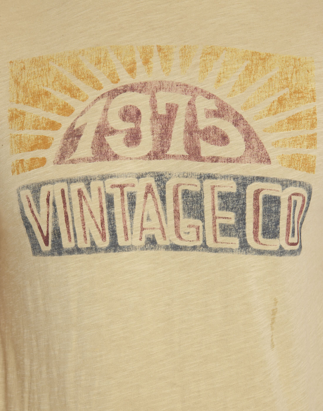 Graphic Print Brown Crew Neck T-Shirt