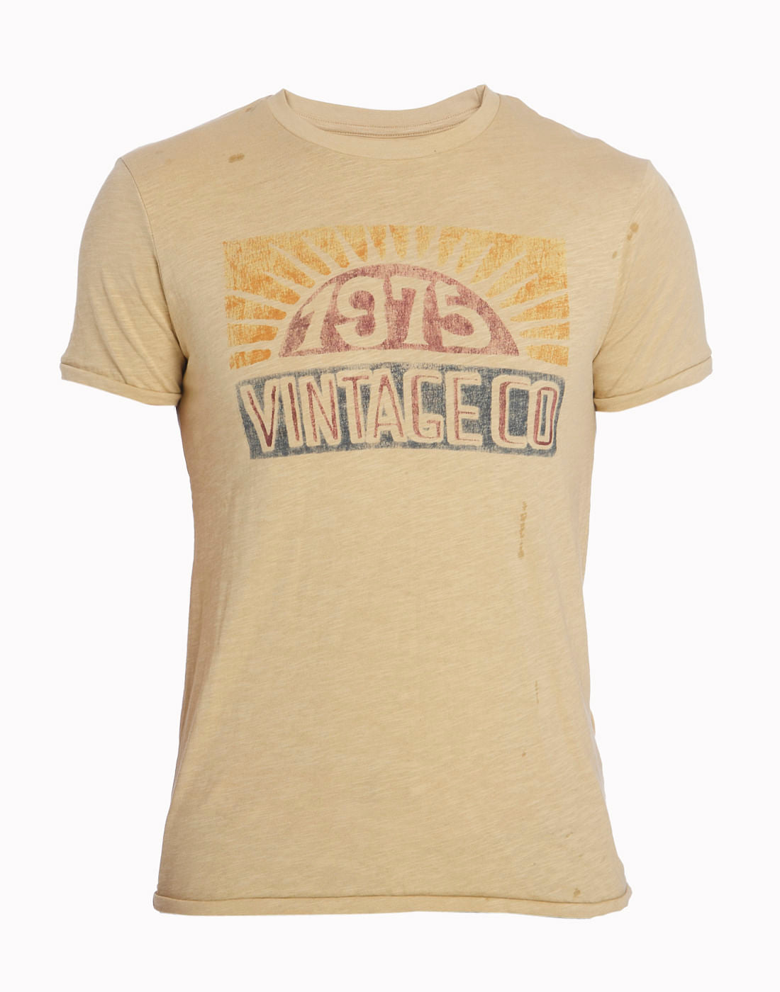 Graphic Print Brown Crew Neck T-Shirt