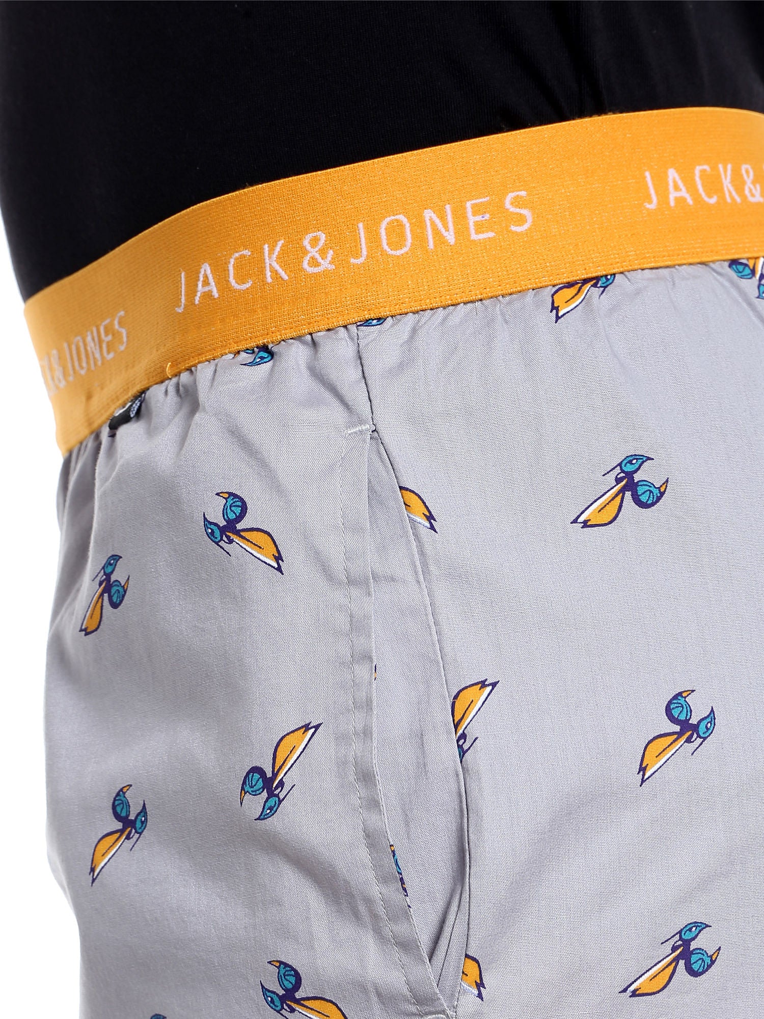 Charlotte Hornets Printed Grey Pyjamas Nba