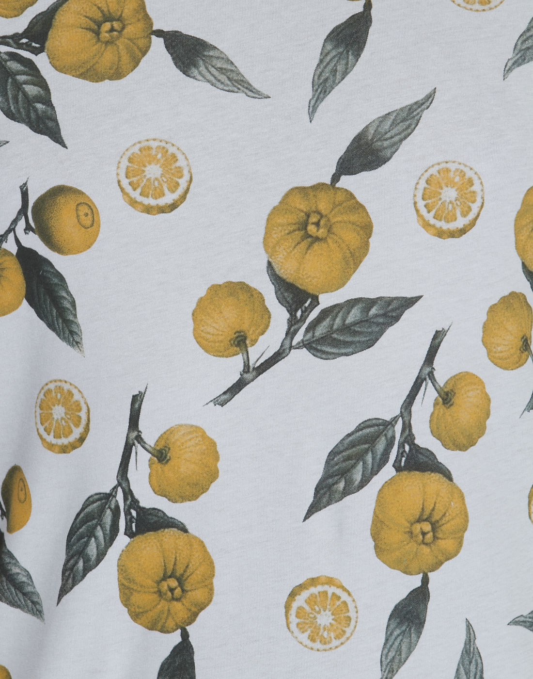 Grey Lemon Print Crew Neck T-Shirt
