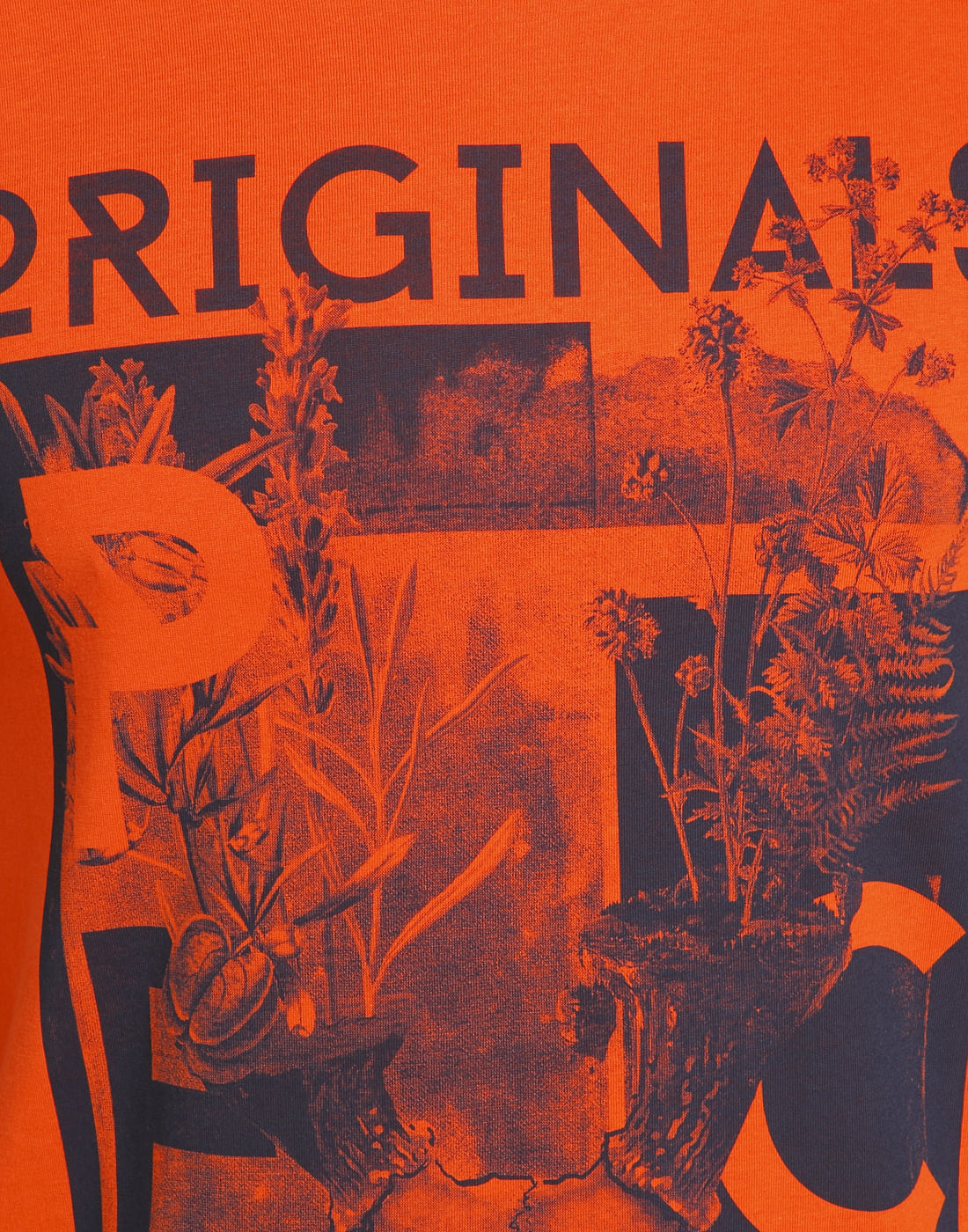 Orange Graphic Print Crew Neck T-Shirt