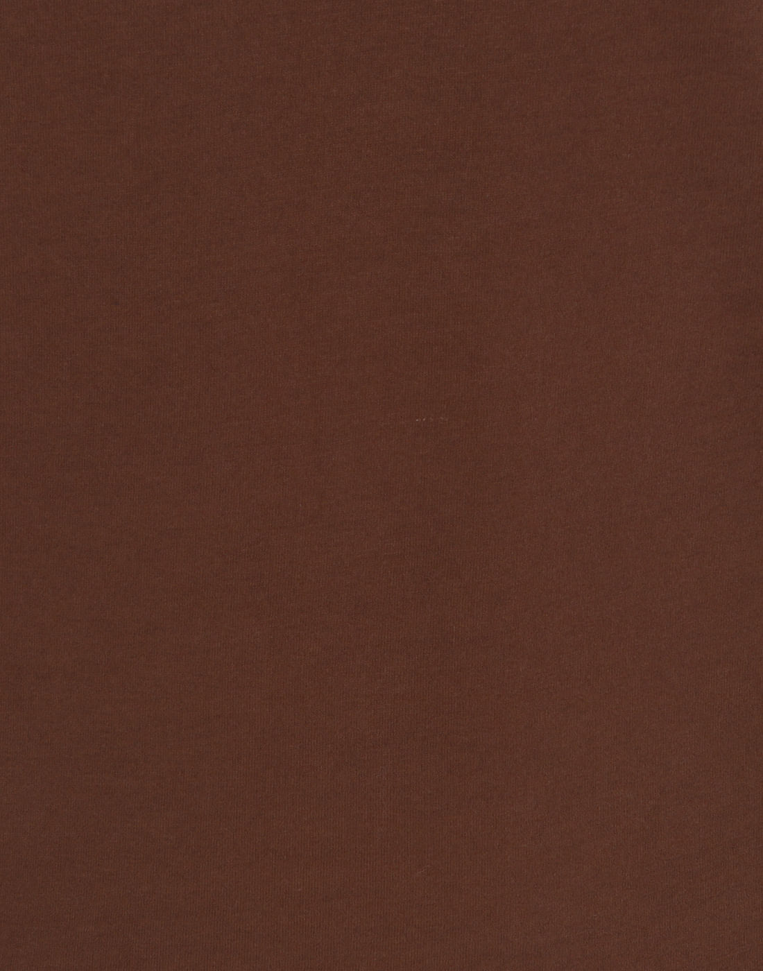 Brown V-Neck T-Shirt