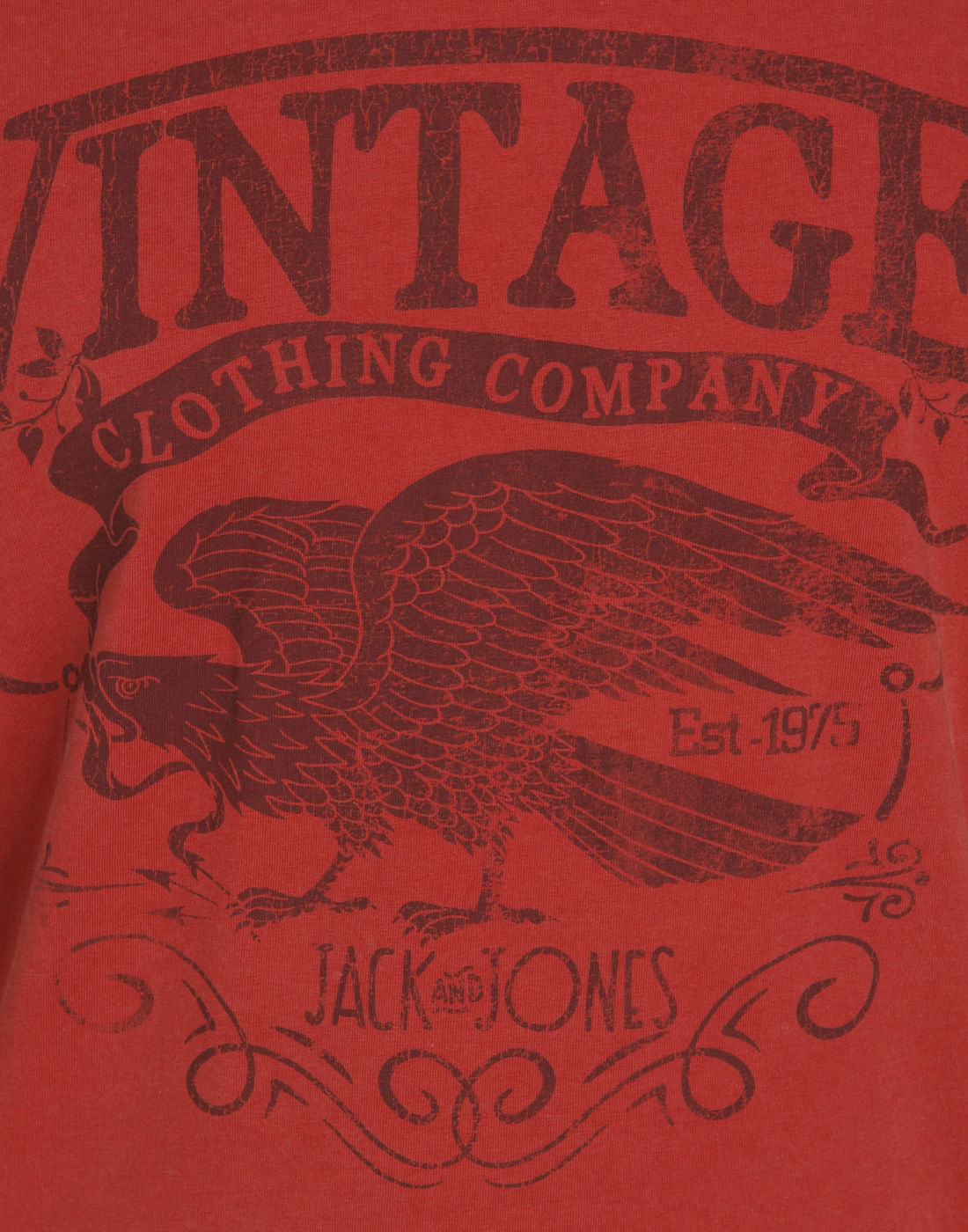 Red Graphic Print Crew Neck T-Shirt