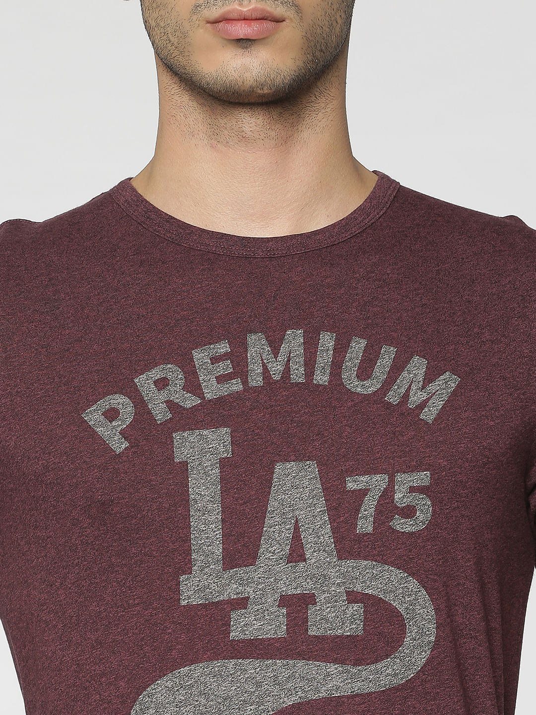 Burgundy Graphic Print Crew Neck T-Shirt