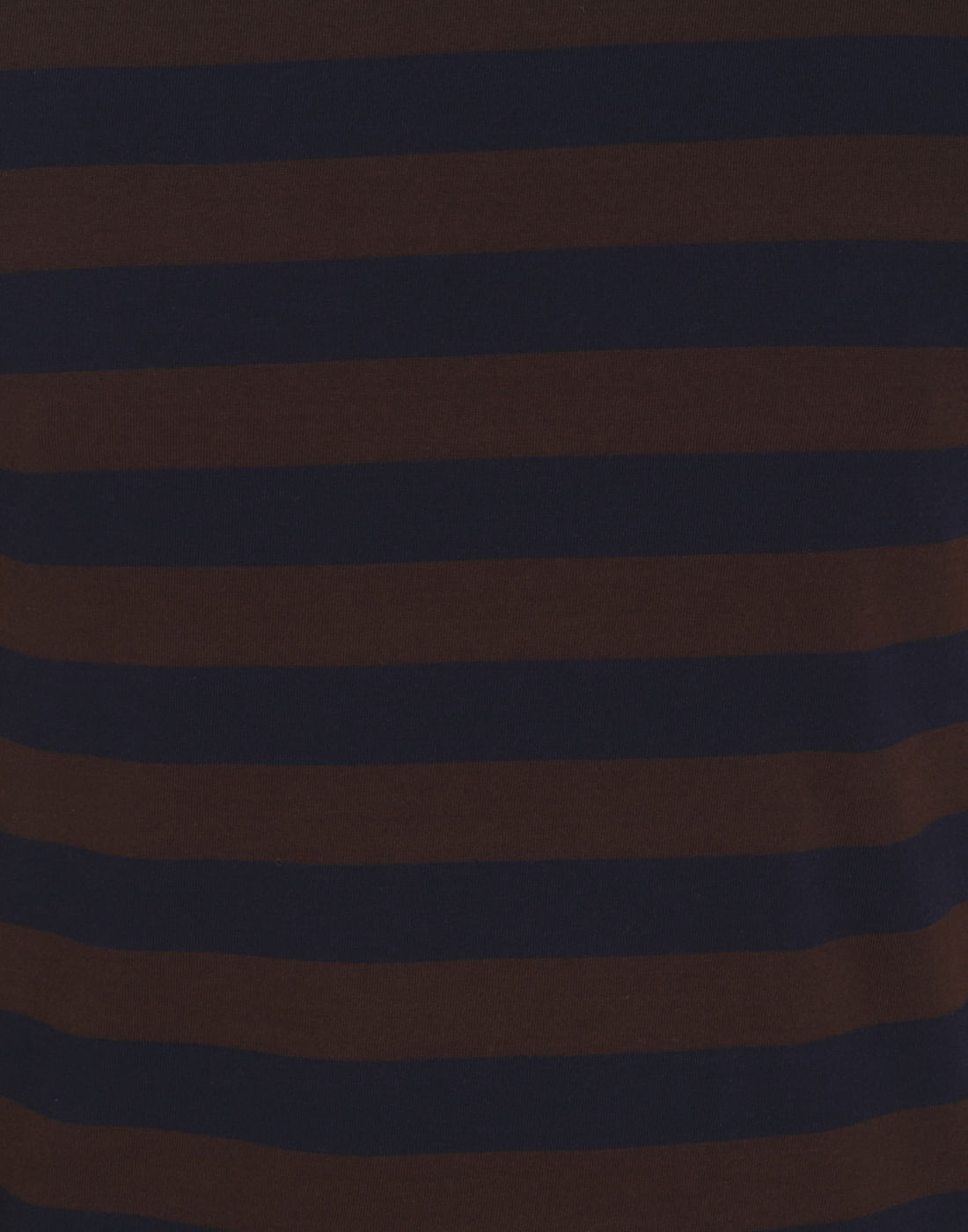 Dark Blue & Brown Striped Crew Neck T-Shirt