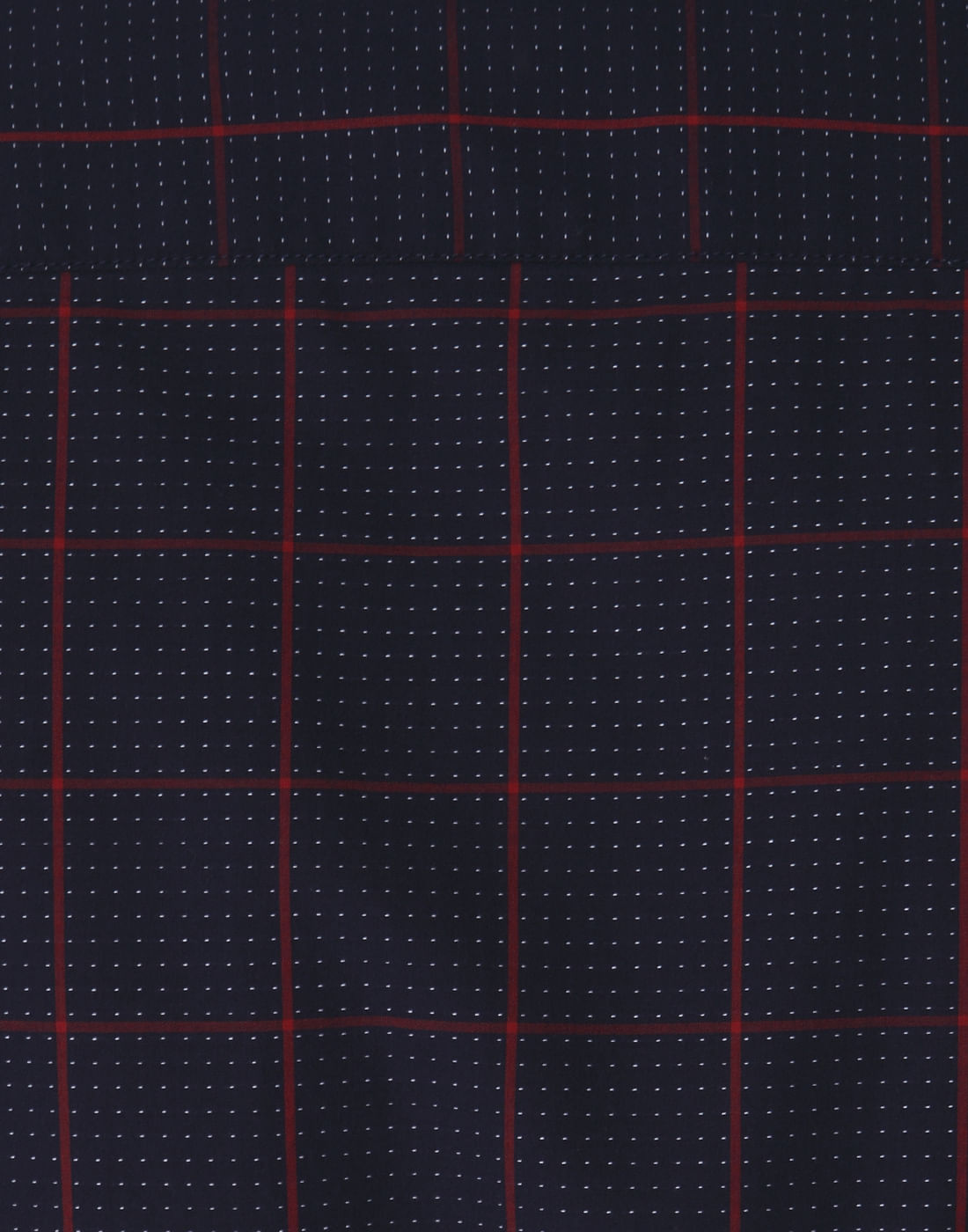 Blue Check Shirt