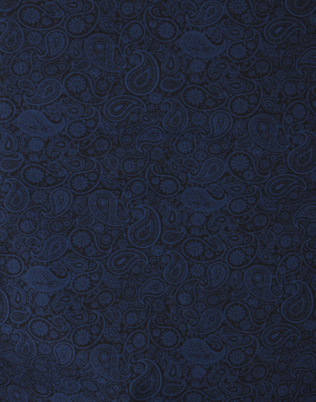 Blue Paisley Print Shirt