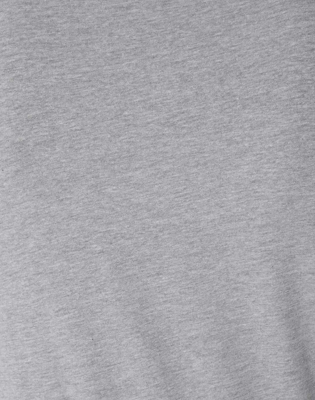 Grey Graphic Print Crew Neck T-Shirt