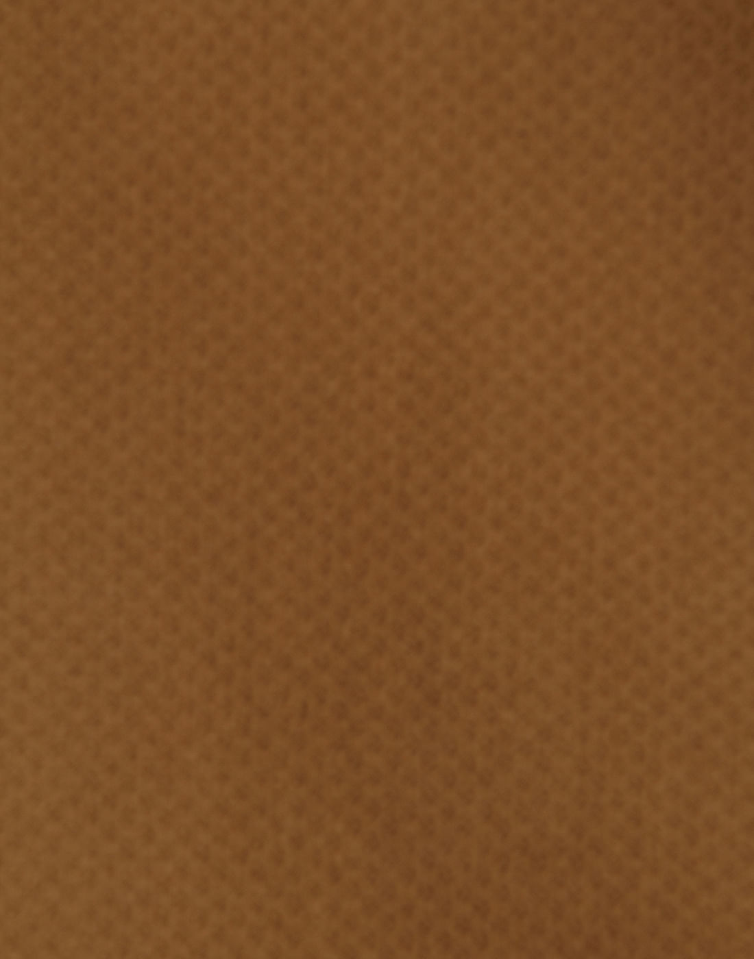Brown Shirt