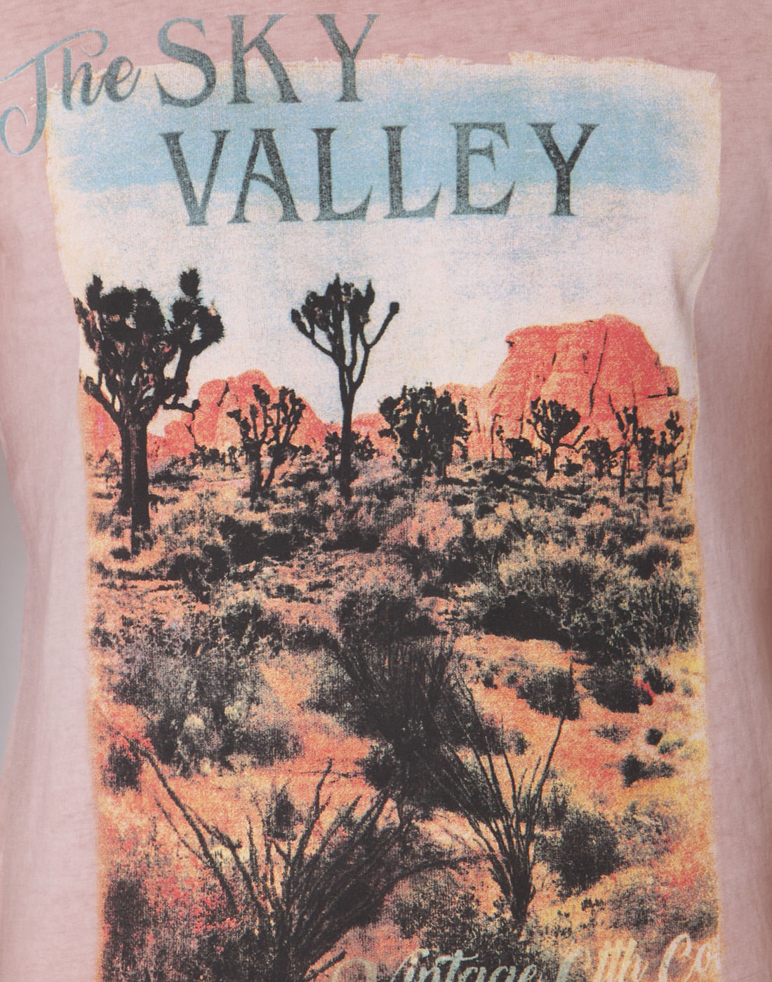 Peach Graphic Print Crew Neck T-Shirt