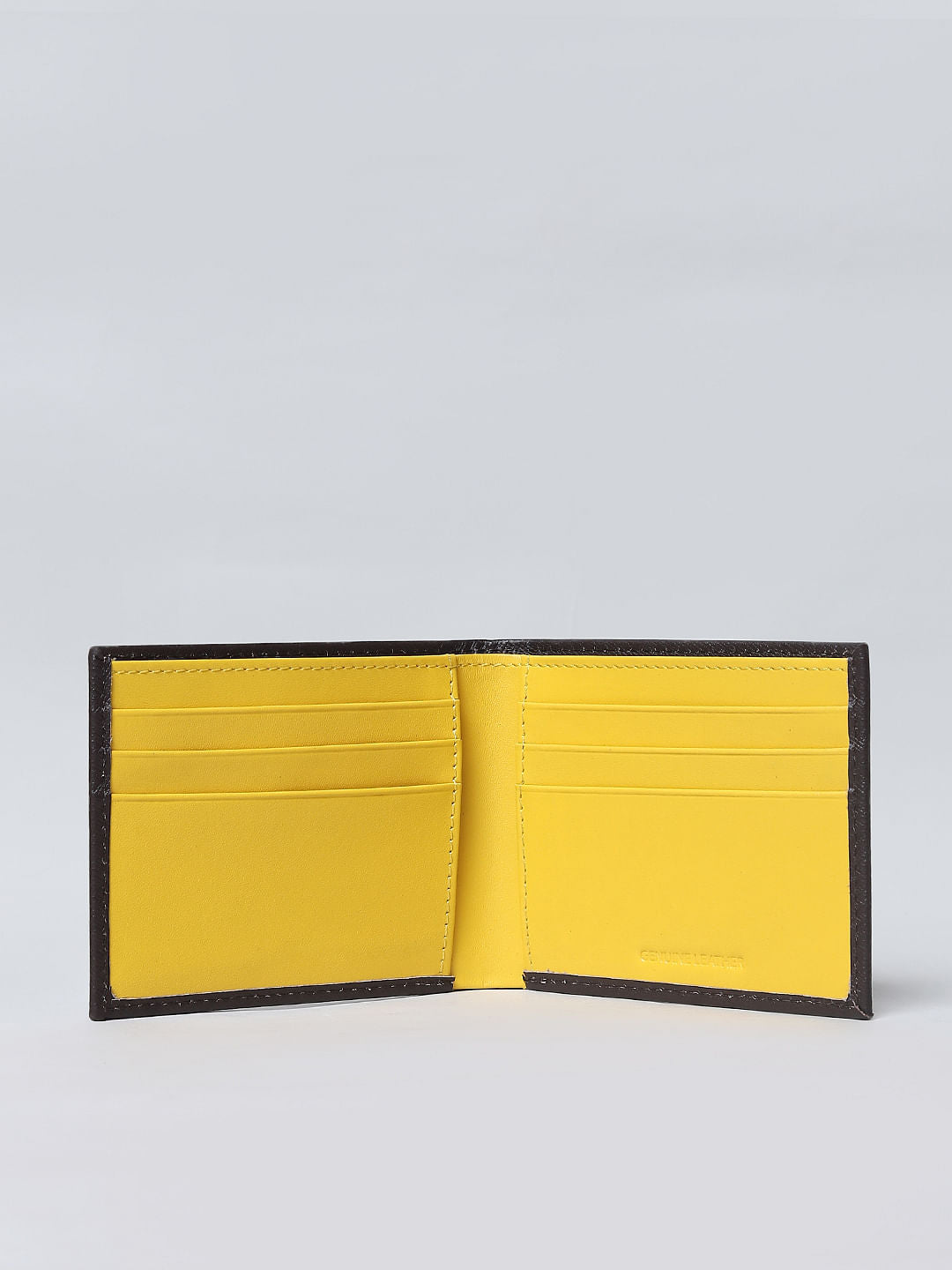 Brown Colourblocked Leather Wallet