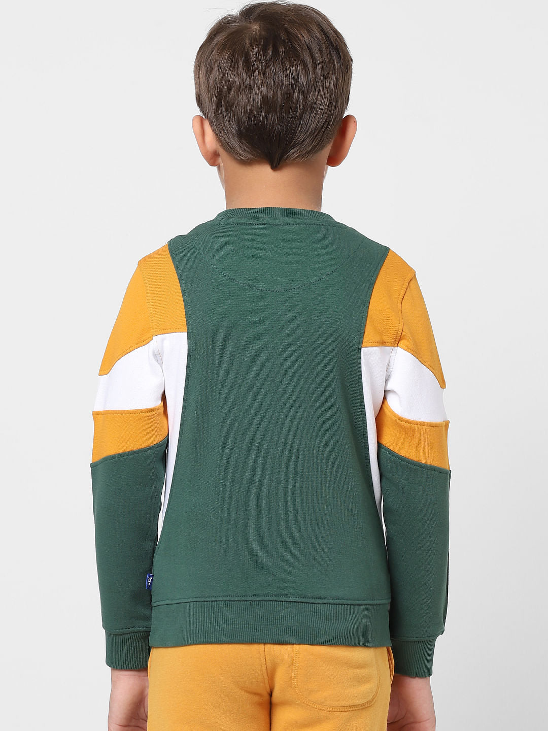 BOYS Green Colourblocked Sweatshirt