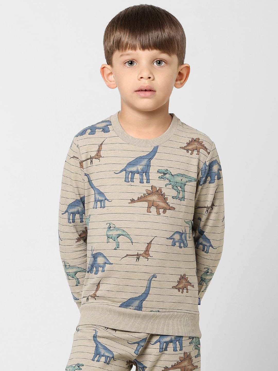 Boys Grey Striped Dinosaur Print Sweatshirt