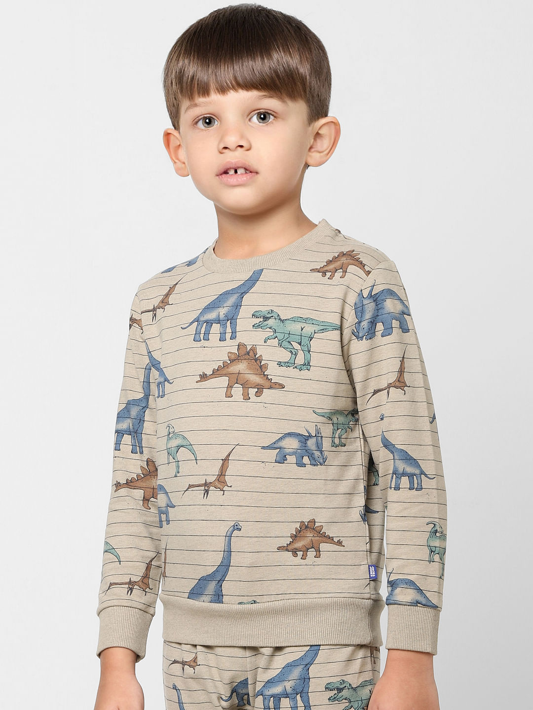 Boys Grey Striped Dinosaur Print Sweatshirt