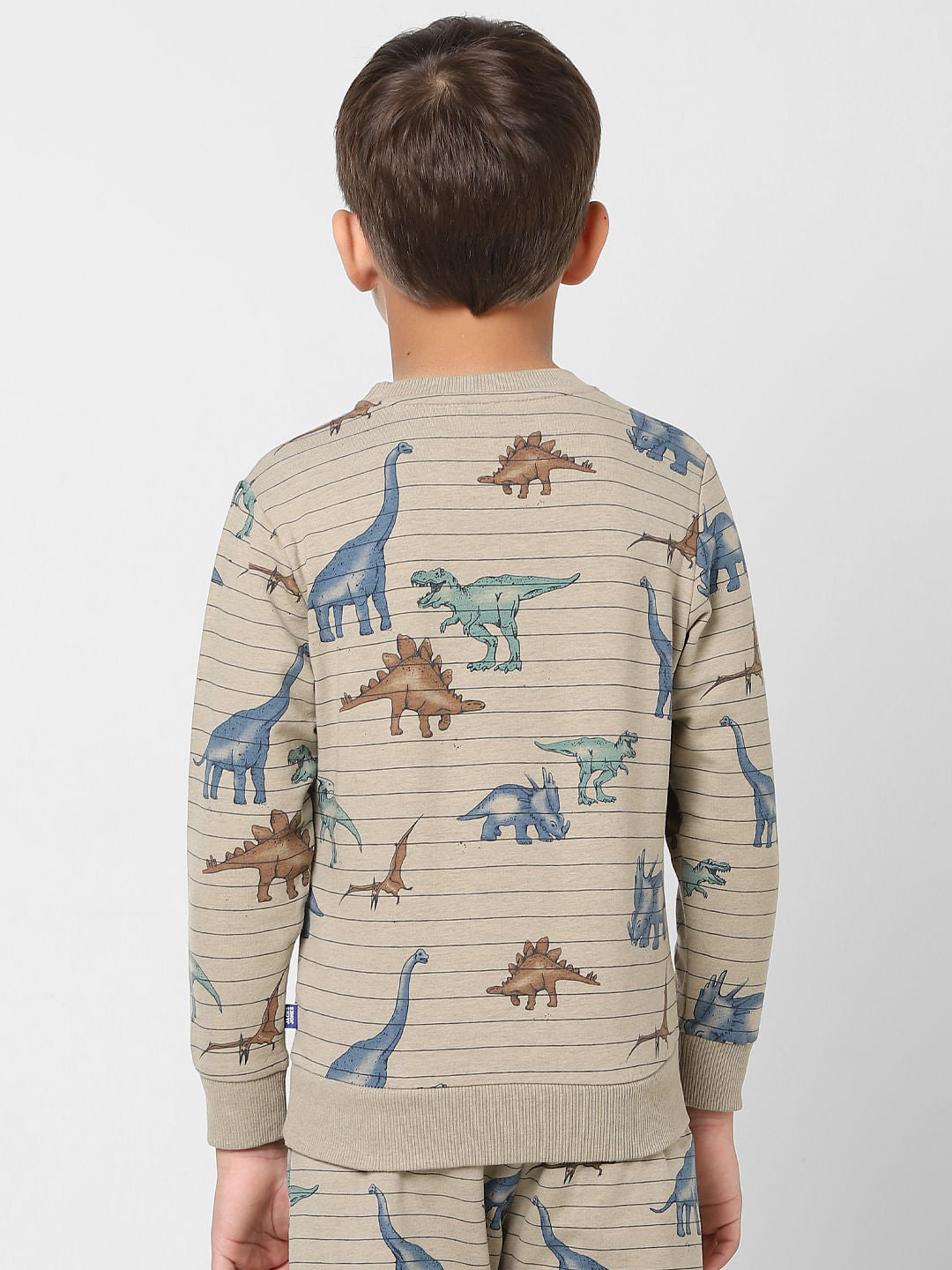 Boys Grey Striped Dinosaur Print Sweatshirt