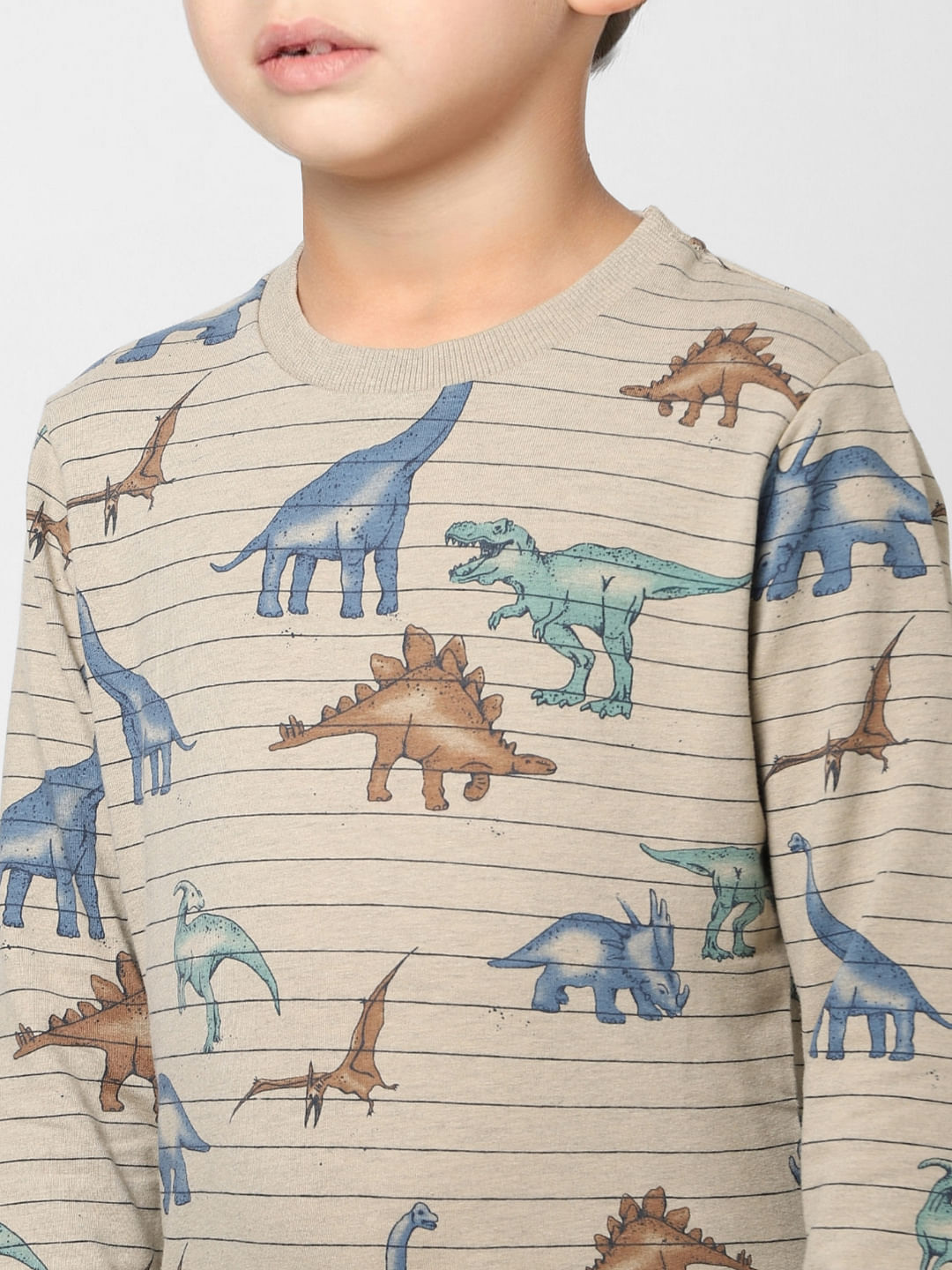 Boys Grey Striped Dinosaur Print Sweatshirt