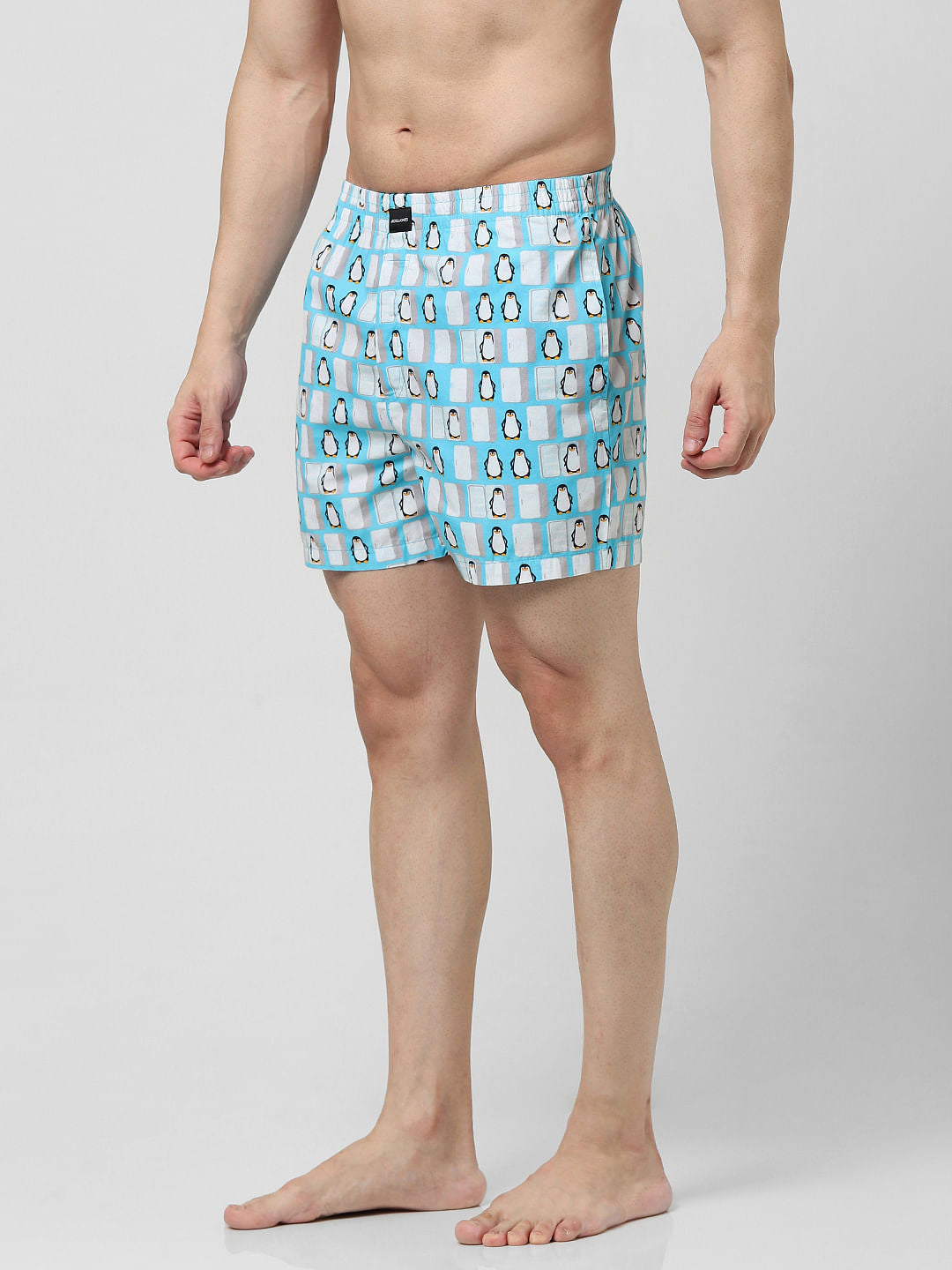 Blue Penguin Print Boxers