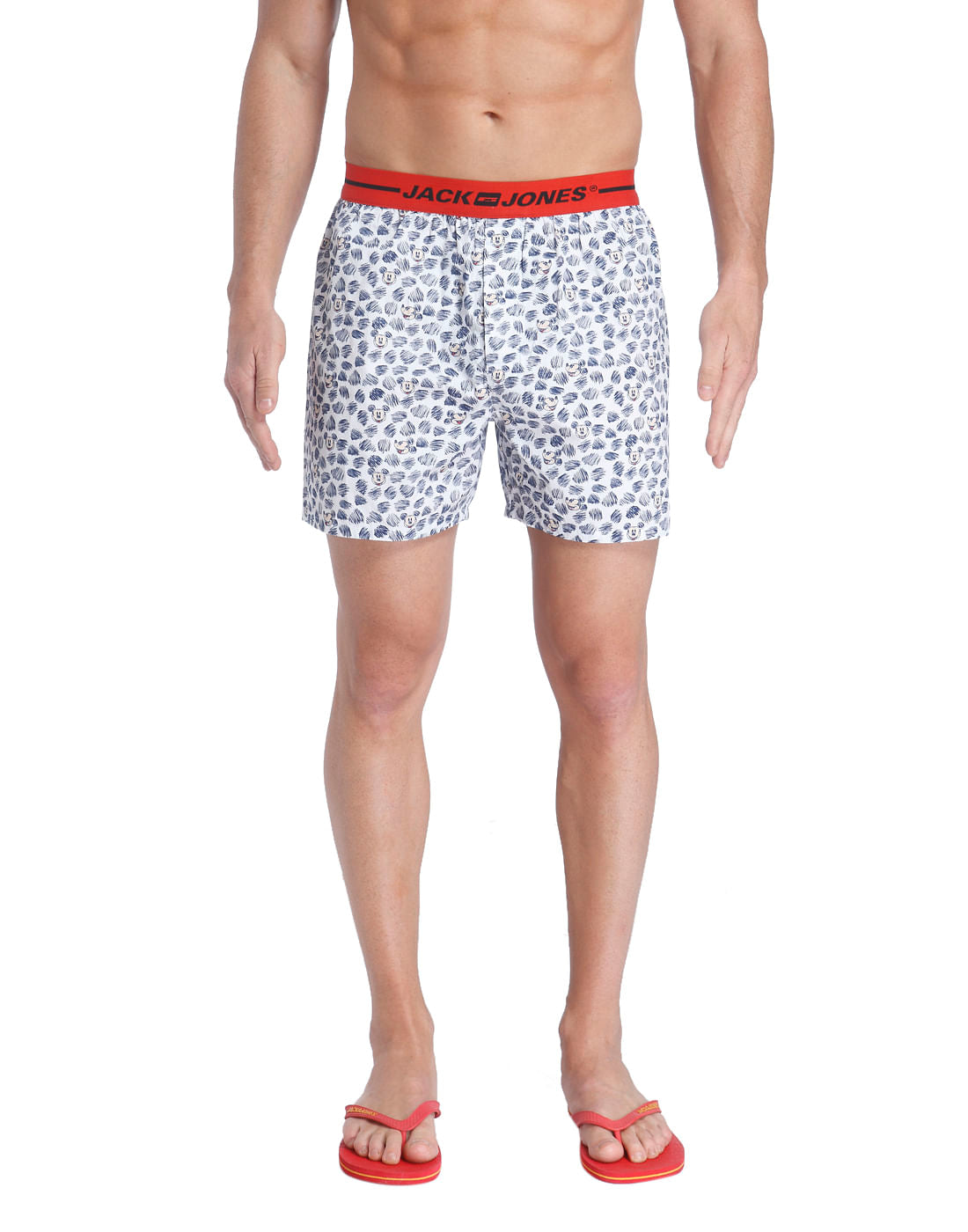 Boxer