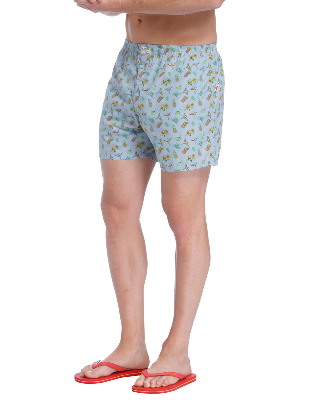 Boxer