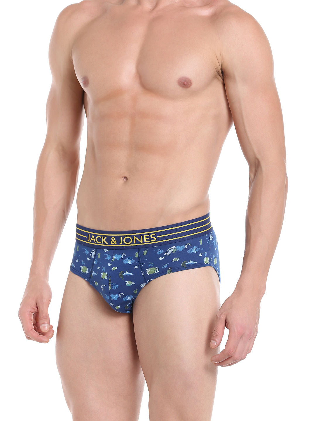 Brief
