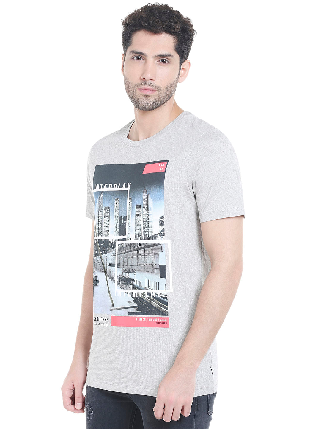 Grey Graphic Print Crew Neck T-shirt