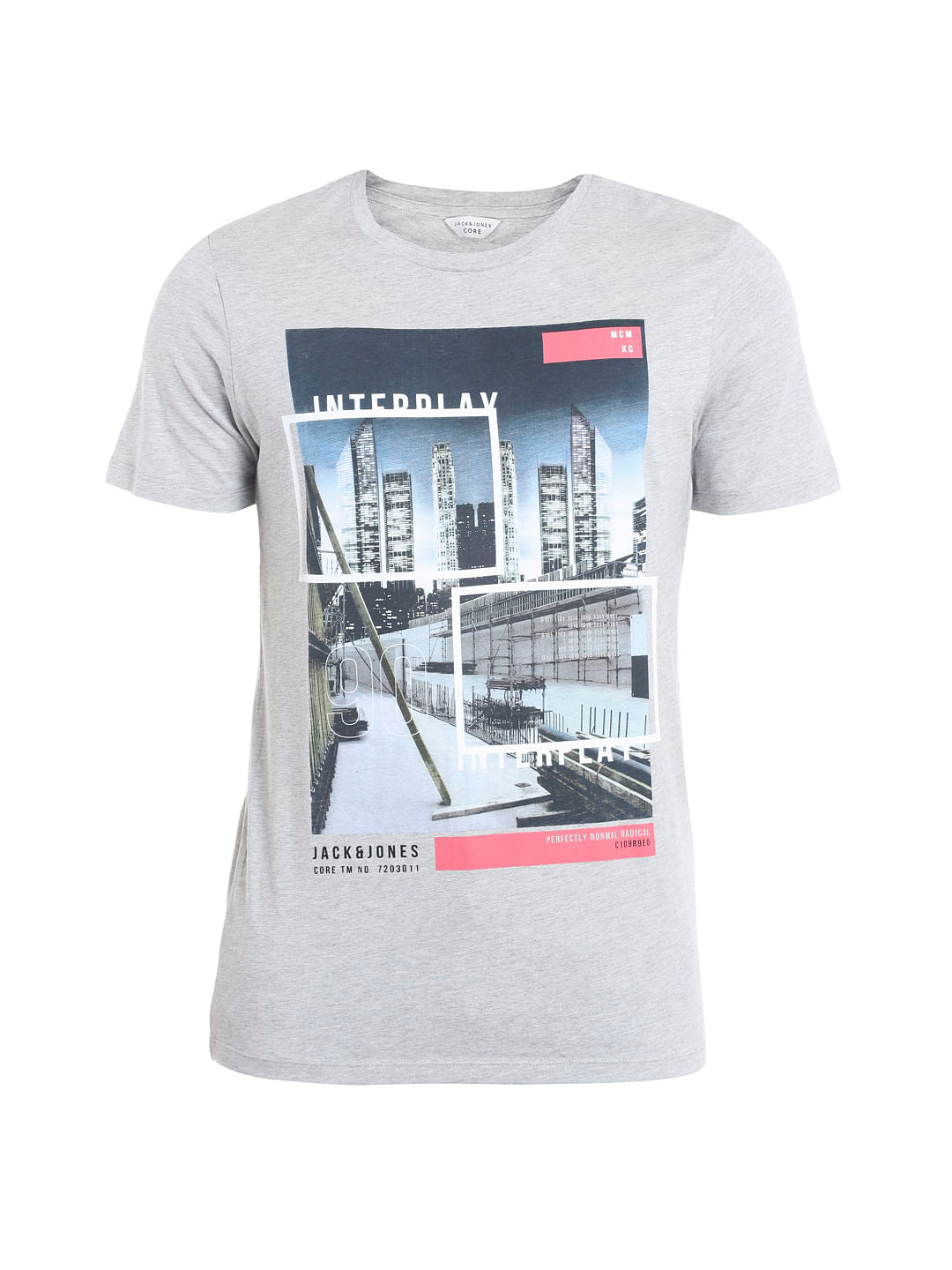 Grey Graphic Print Crew Neck T-shirt
