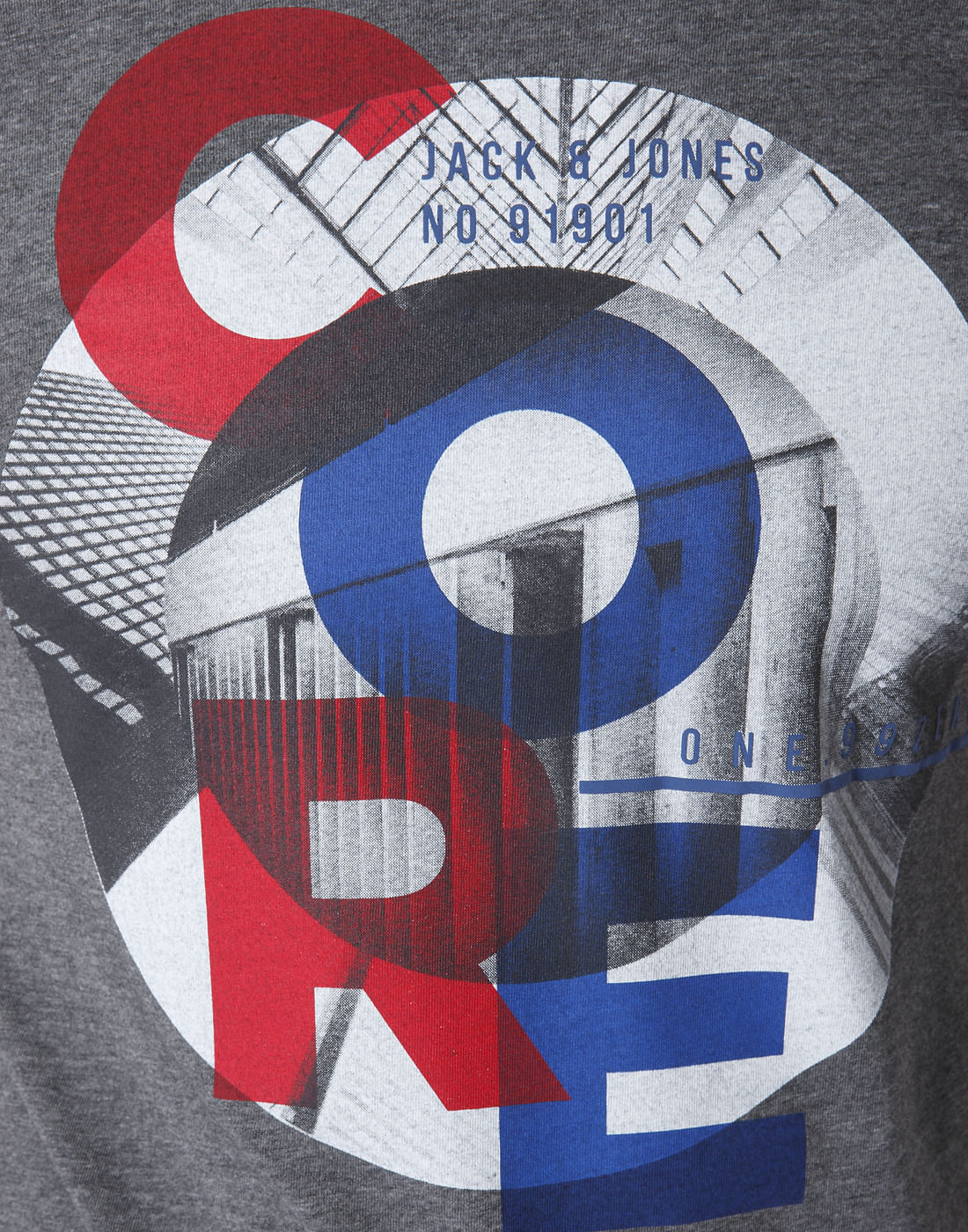 Grey Graphic Print Crew Neck T-Shirt
