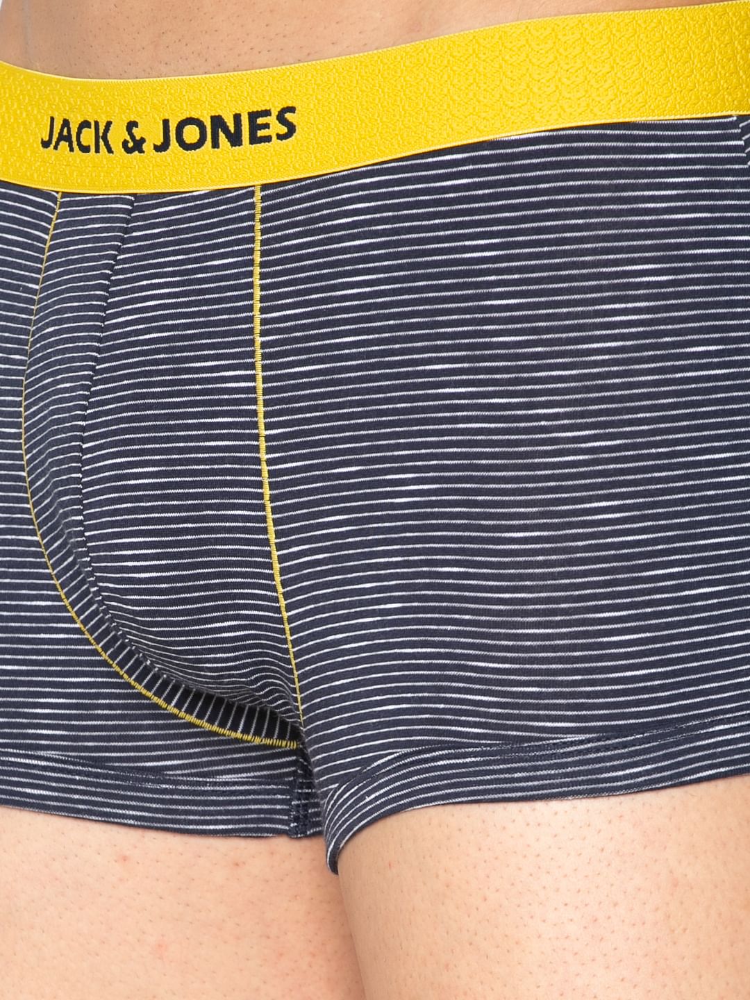 Blue Striped Brazilian Trunks