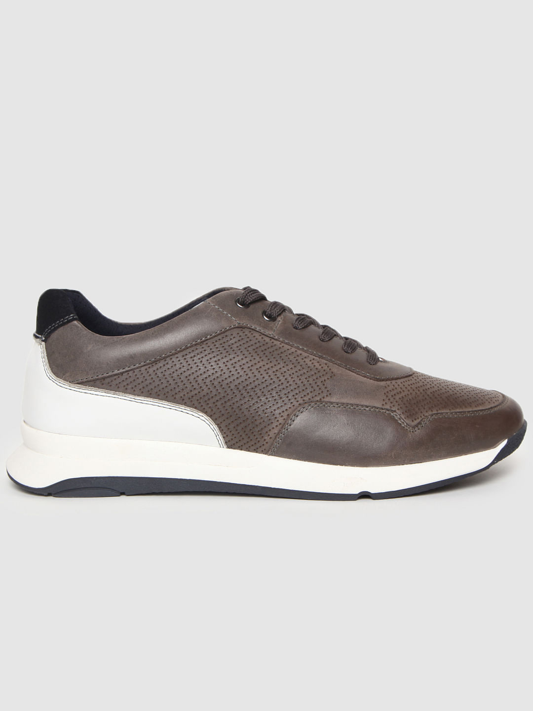 Brown Colourblocked Leather Sneakers