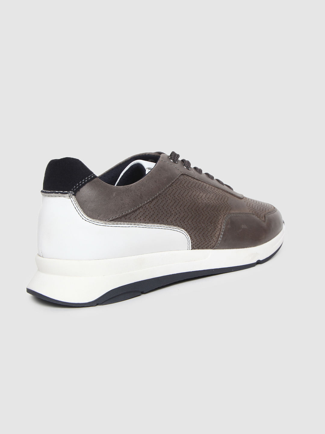 Brown Colourblocked Leather Sneakers