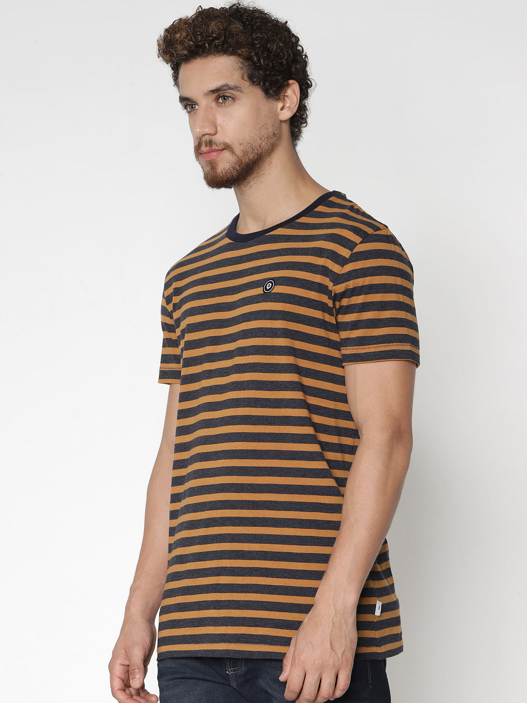 Brown Striped Crew Neck T-Shirt