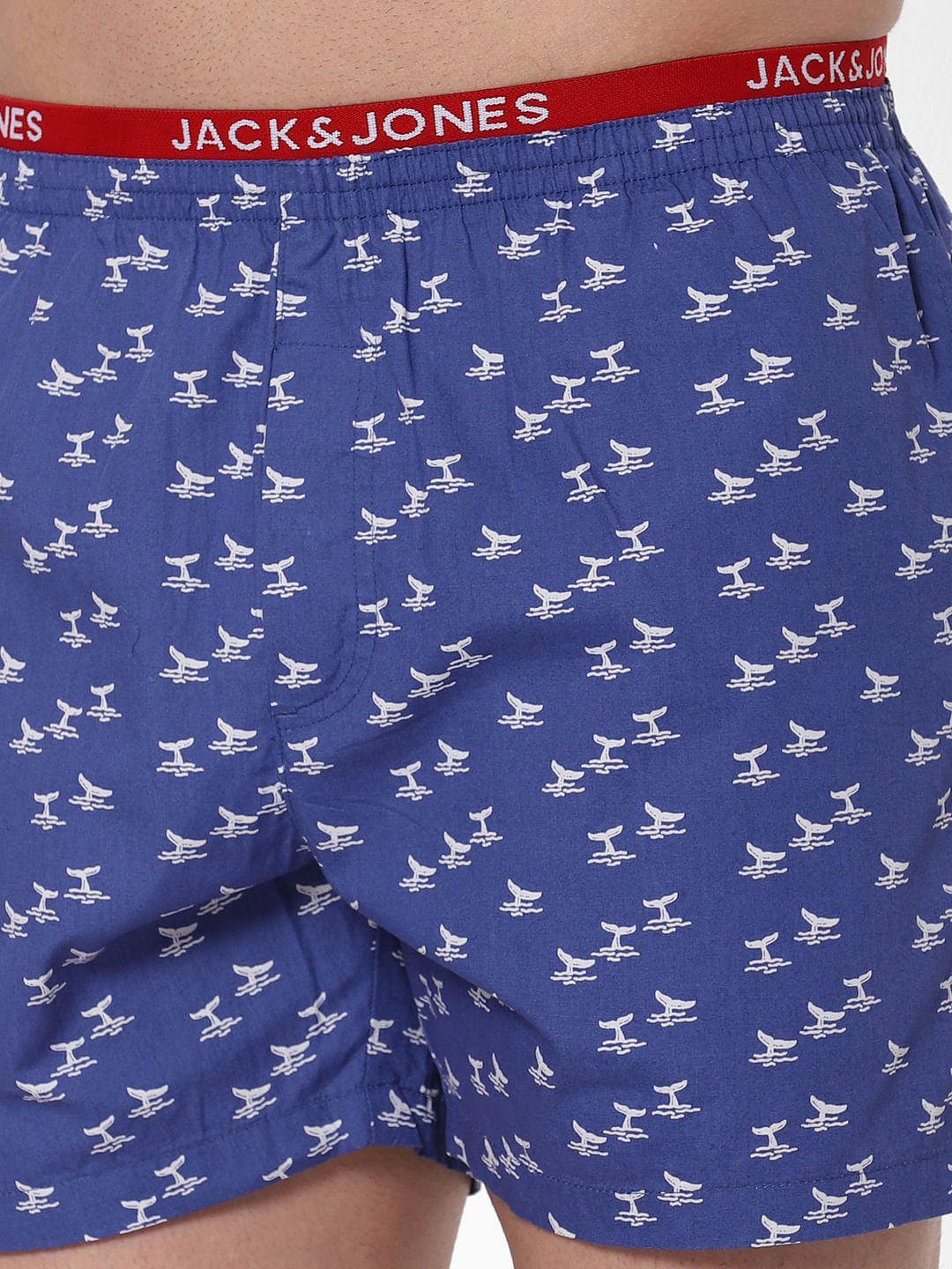 Blue Whale Print Boxers