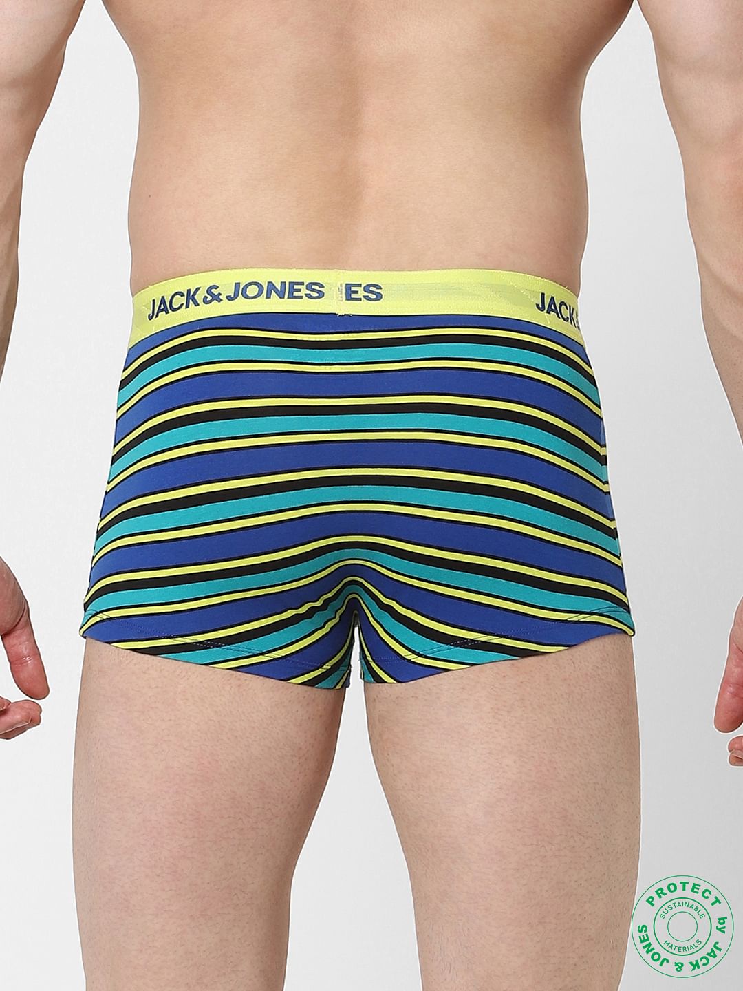Blue Striped Brazilian Trunks