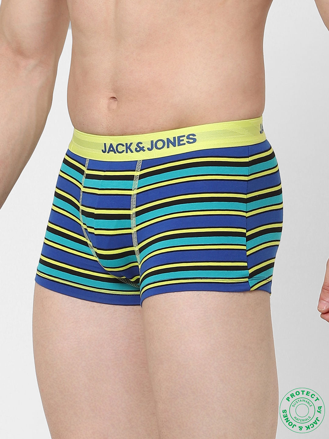 Blue Striped Brazilian Trunks
