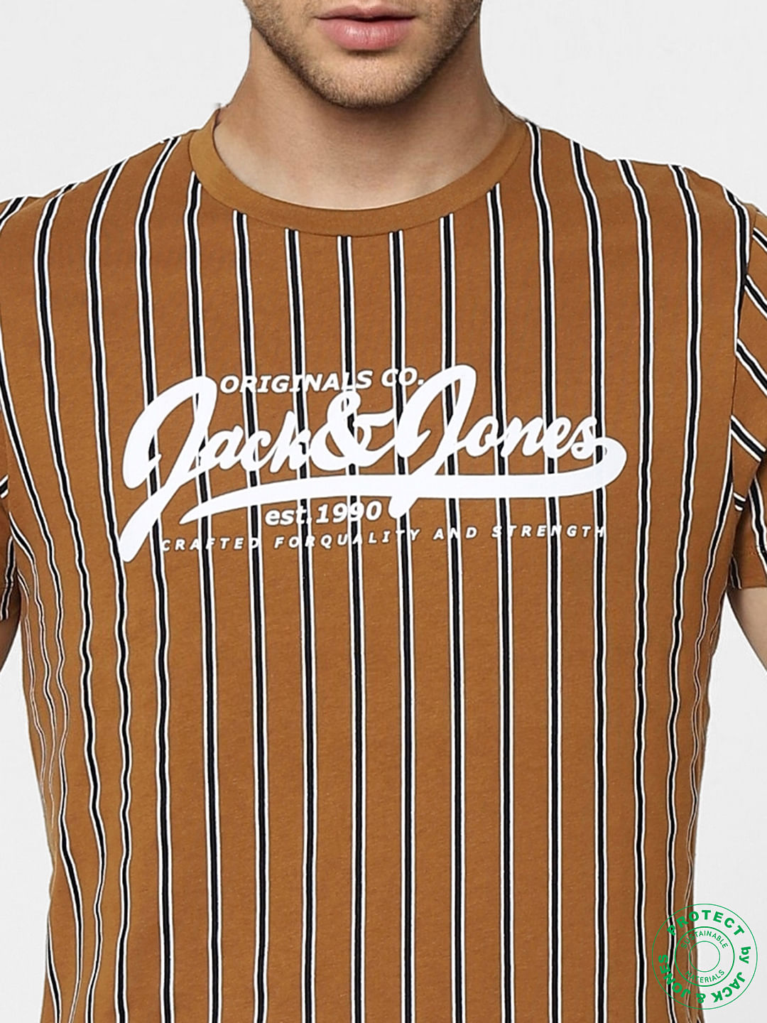 Brown Striped Crew Neck T-shirt