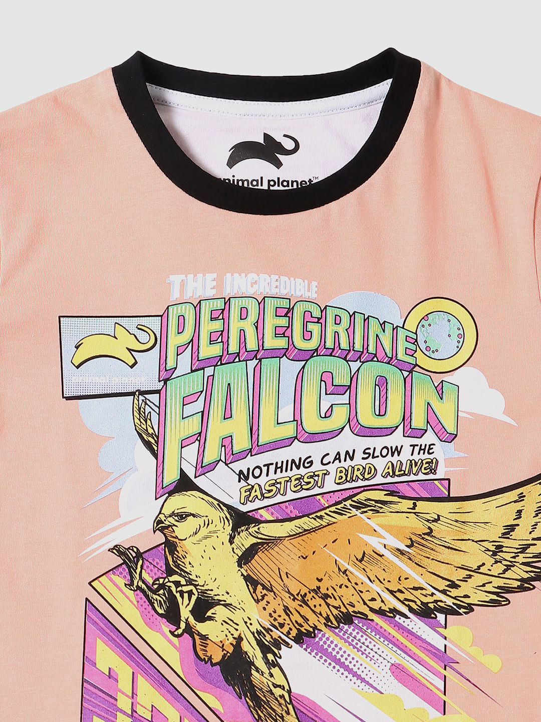 BOYS X ANIMAL PLANET Peach Graphic Print Crew Neck T-shirt