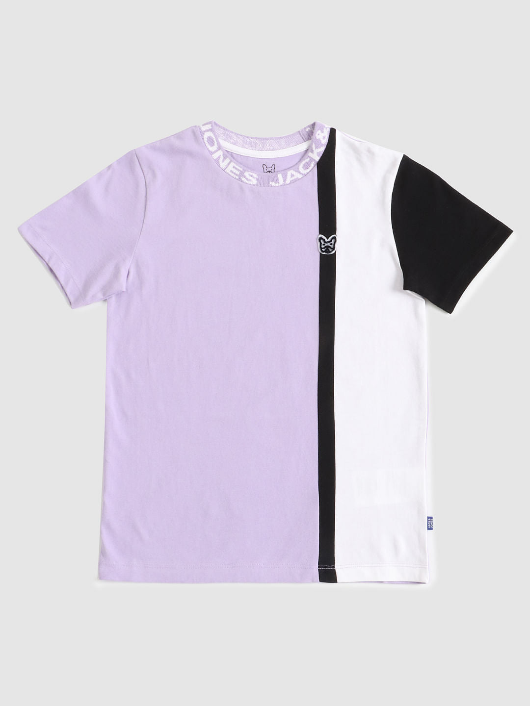 Boys Purple Colourblocked Crew Neck T-shirt