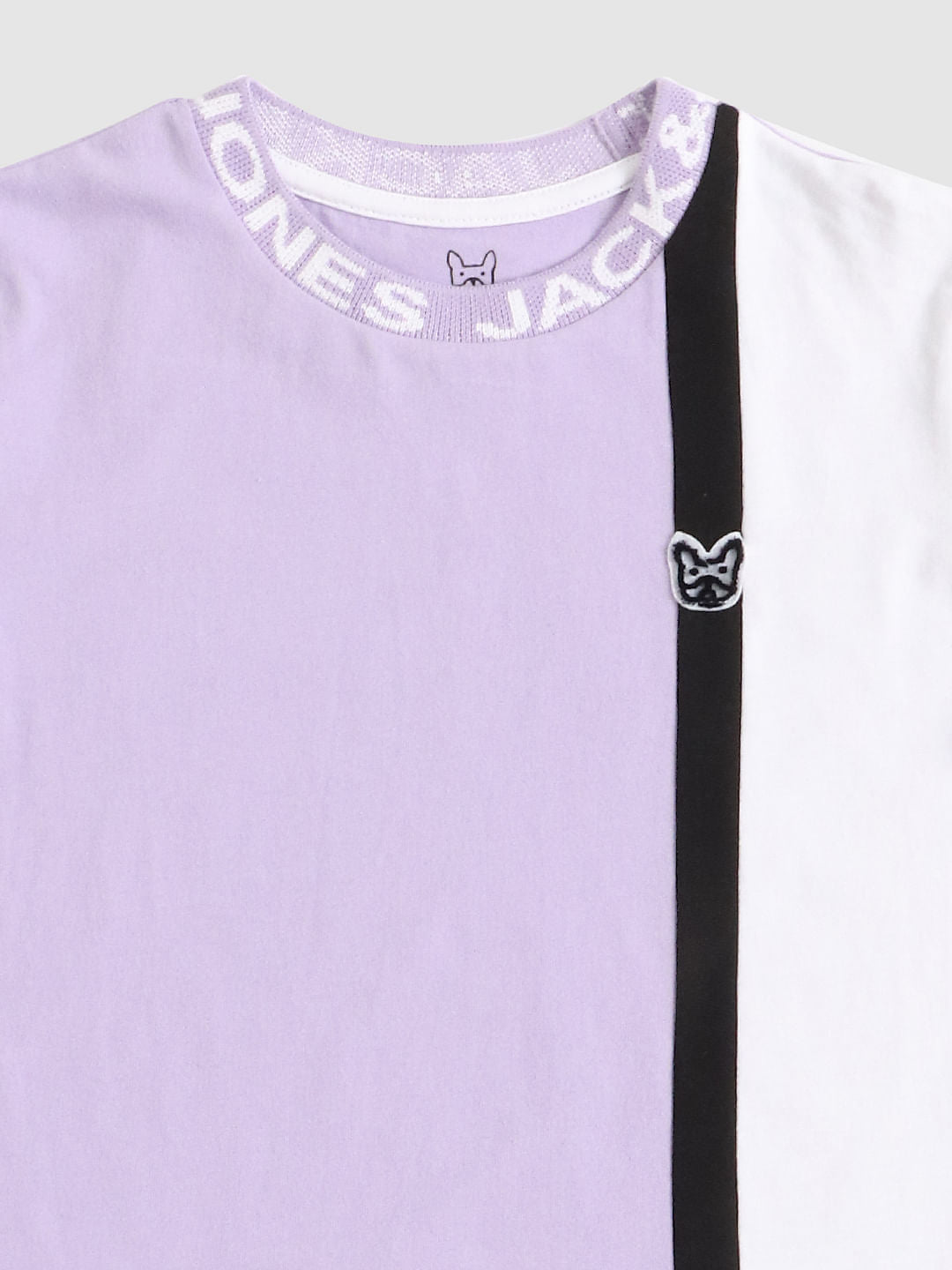 Boys Purple Colourblocked Crew Neck T-shirt