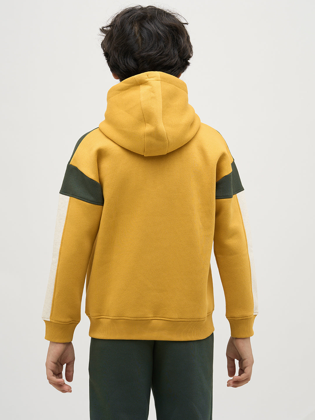 Boys Green Colourblocked Sweatshirt