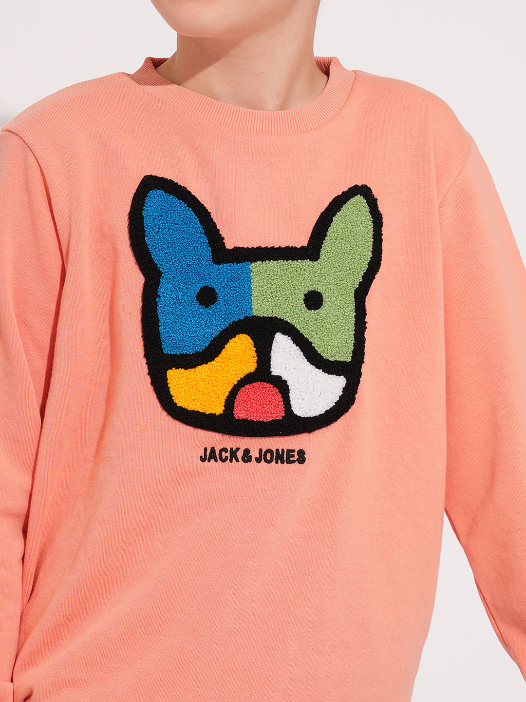 Boys Peach Applique Dog Print Sweatshirt