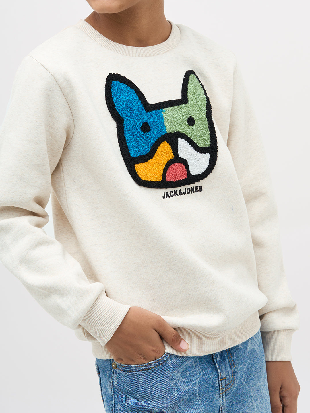 Boys Cotton Off White Crew Neck Sweatshirt With Dog Embroidery