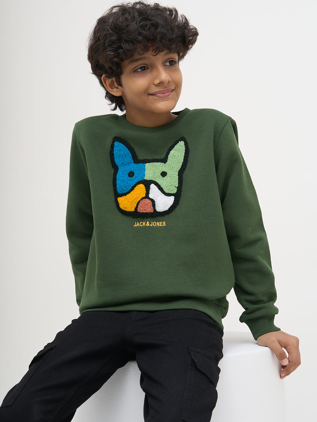 Boys Green Cotton Embroidered Crew Neck Sweatshirt