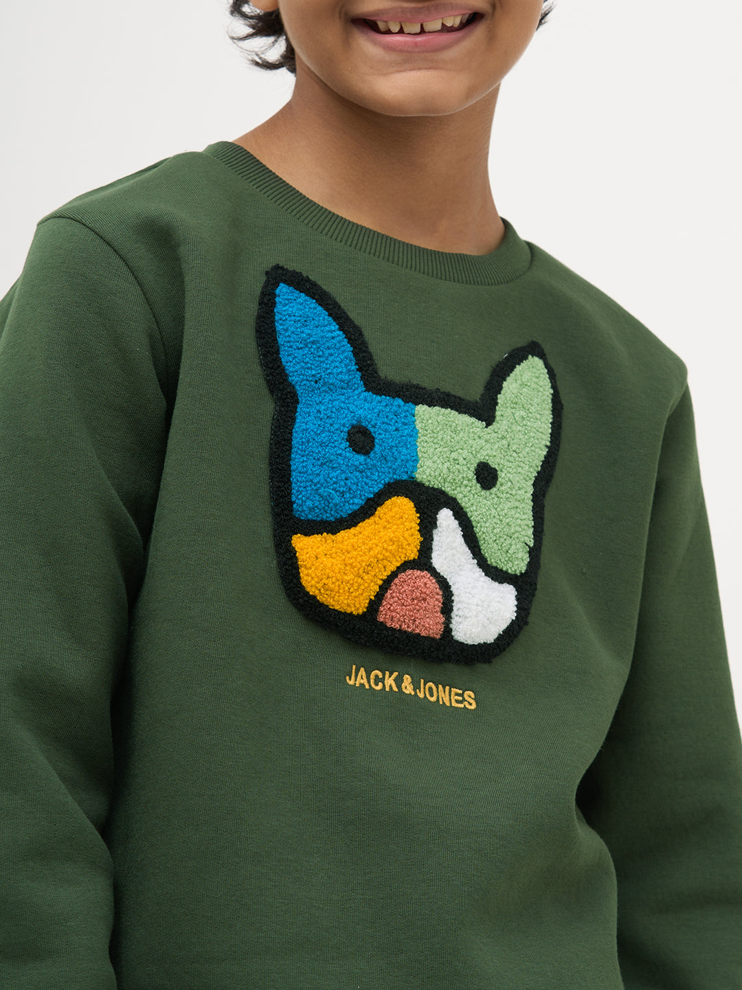 Boys Green Cotton Embroidered Crew Neck Sweatshirt