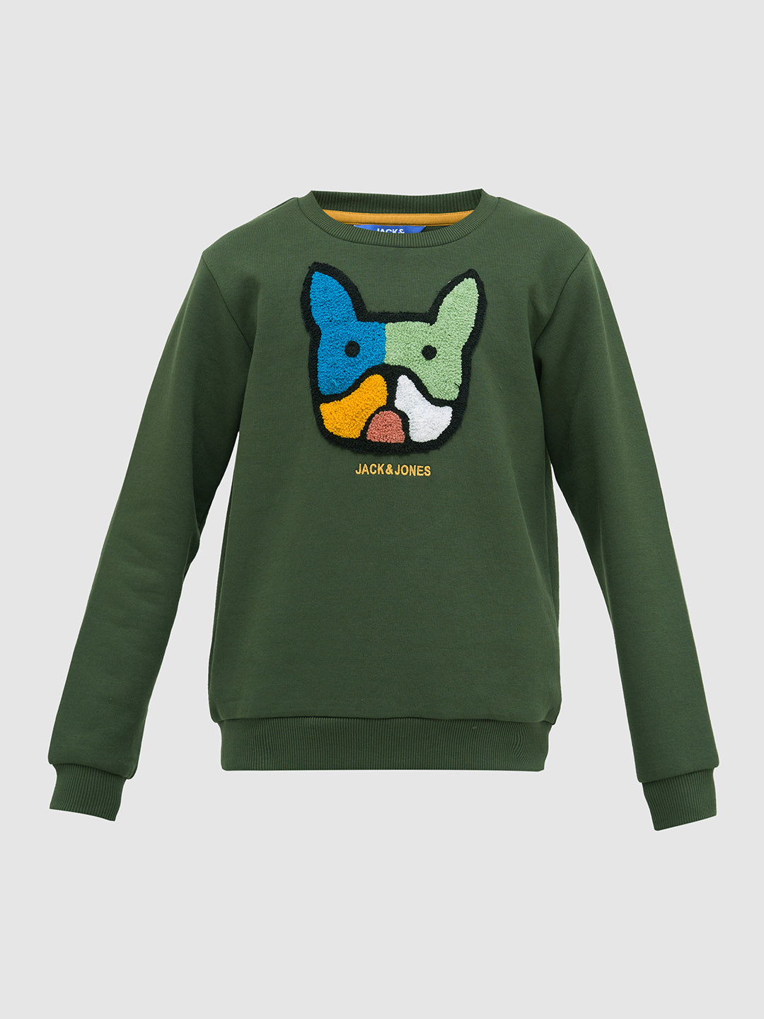 Boys Green Cotton Embroidered Crew Neck Sweatshirt