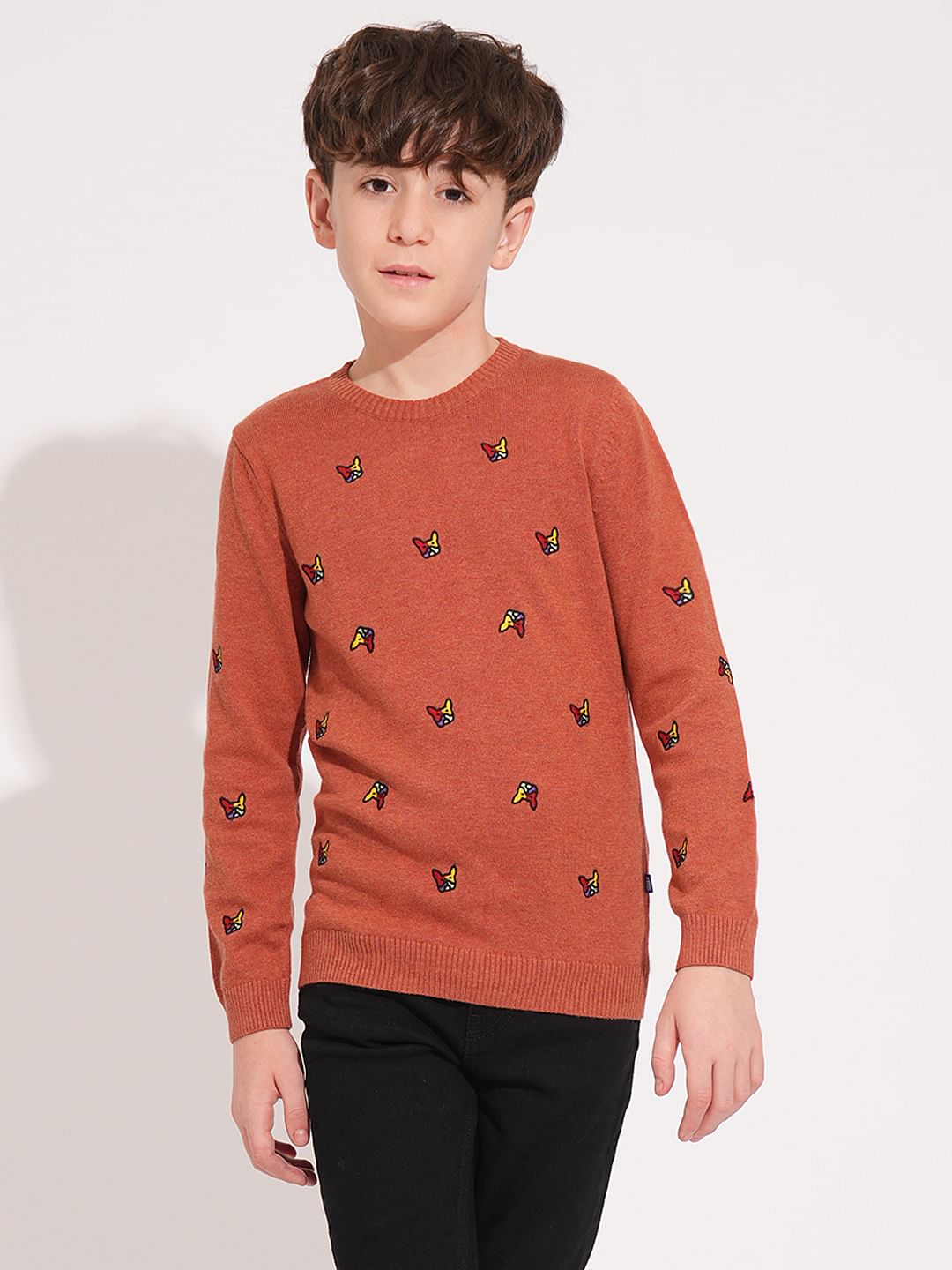 Boys Rust Frenchie Doggo Print Pullover